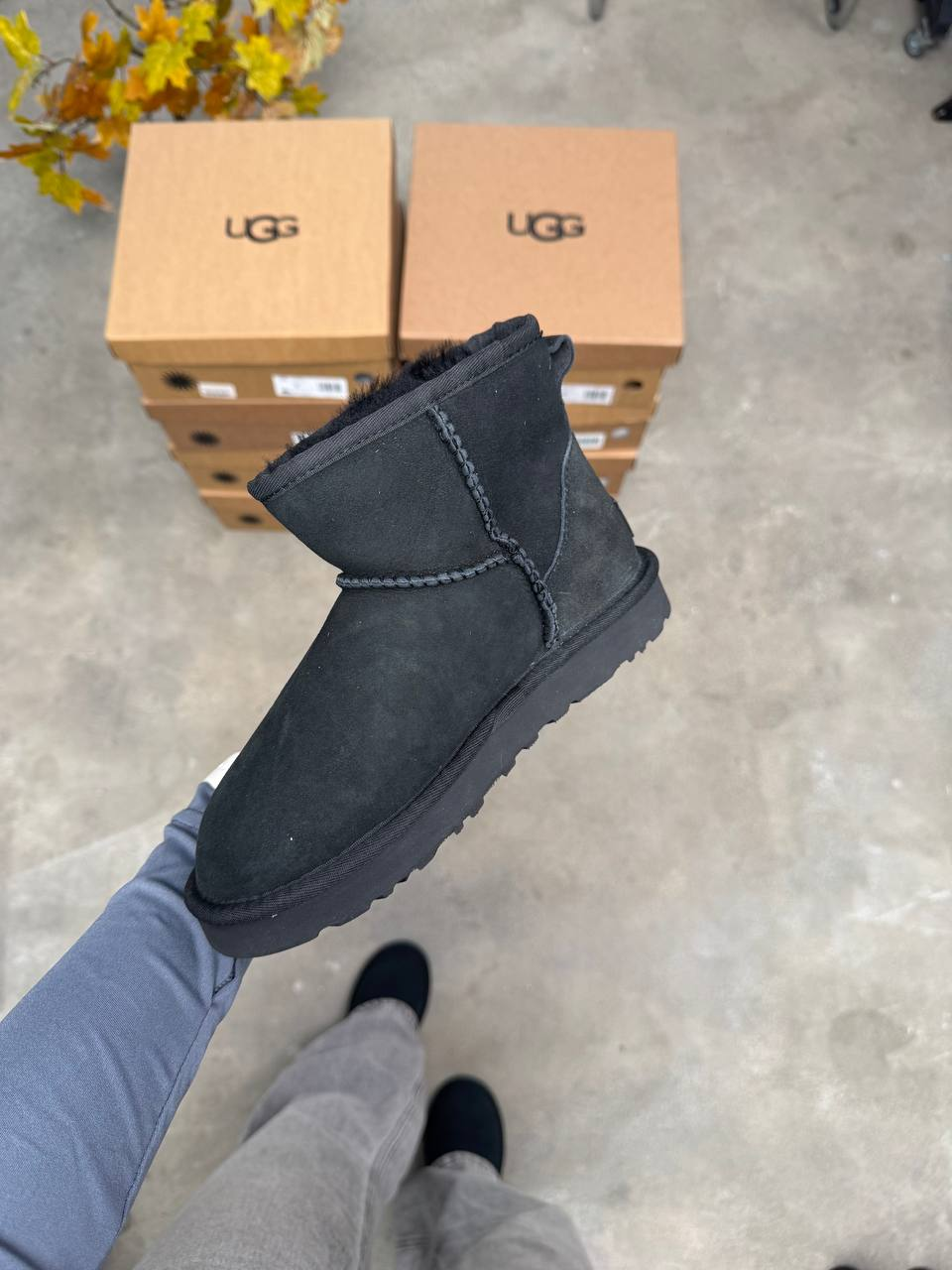 Ugg Mini Black Suede